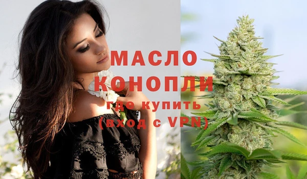 стаф Вяземский