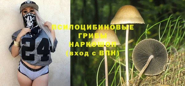 стаф Вяземский