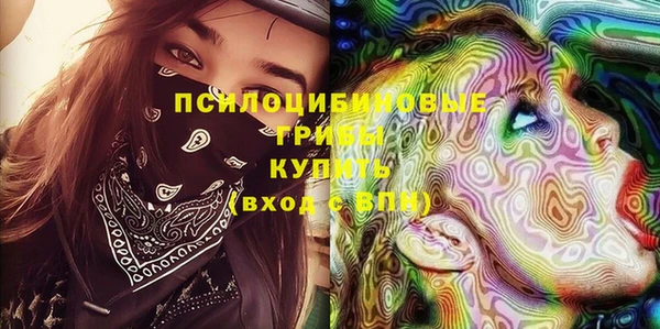 ешки Володарск