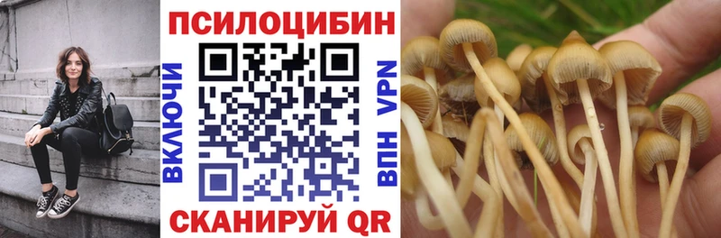 Псилоцибиновые грибы MAGIC MUSHROOMS  где можно купить наркотик  Заречный 